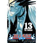 Manga Bleach Τόμος 13 (English)