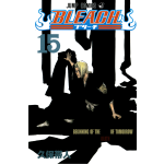 Manga Bleach Τόμος 15 (English)