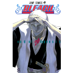 Manga Bleach Τόμος 20 (English)