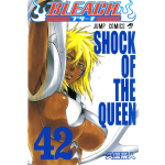 Manga Bleach Τόμος 42 (English)