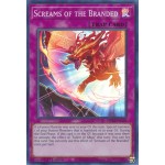 Screams of the Branded (MP22-EN103) - 1st Edition