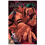 Jujutsu Kaisen Vol. 25 Manga (English)