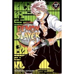 Manga Demon Slayer Τόμος 17 (English)