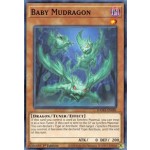 Baby Mudragon (DAMA-EN081) - 1st Edition
