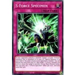 S-Force Specimen (BLVO-EN071) - 1st Edition
