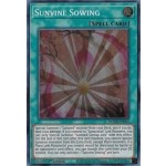 Sunvine Sowing (BODE-EN065) - 1st Edition