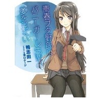 Rascal Does Not Dream of Bunny Girl Senpai