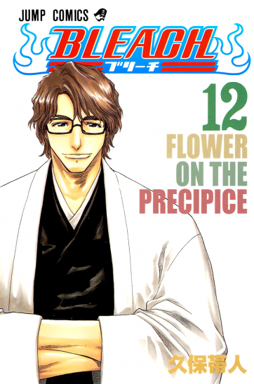 Manga Bleach Τόμος 12 (English)