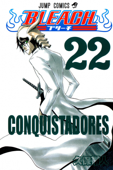 Manga Bleach Τόμος 22 (English)