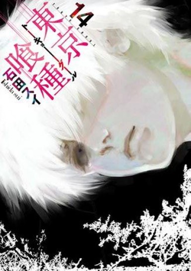 Manga Tokyo Ghoul Τόμος 14 (English)
