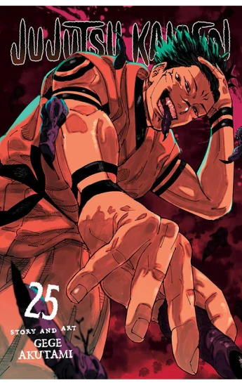 Jujutsu Kaisen Vol. 25 Manga (English)