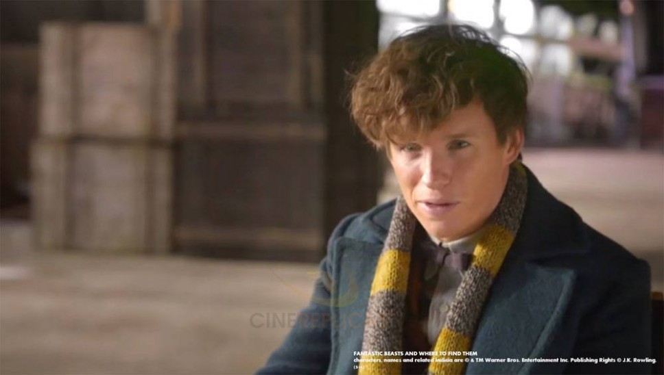 Κασκόλ Newt Scamander