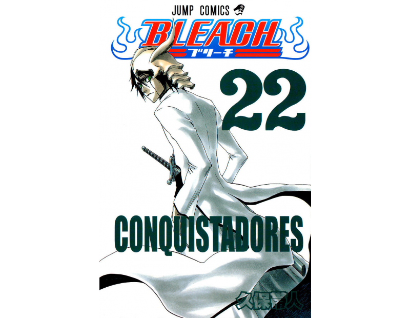 Manga Bleach Τόμος 22 (English)