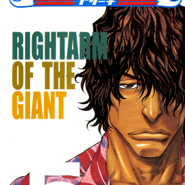 Manga Bleach Τόμος 05 (English)