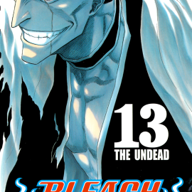 Manga Bleach Τόμος 13 (English)