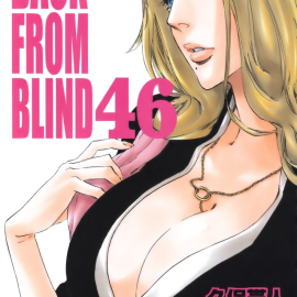 Manga Bleach Τόμος 46 (English)