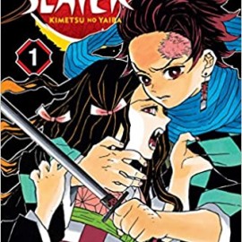 Manga Demon Slayer Τόμος 1 (English)
