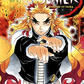 Manga Demon Slayer Τόμος 8 (English)