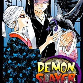 Manga Demon Slayer Τόμος 16 (English)