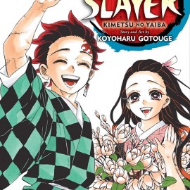 Manga Demon Slayer Τόμος 23 (English)
