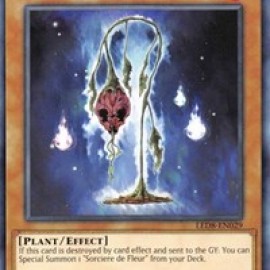 Necro Fleur (LED8-EN029) - 1st Edition